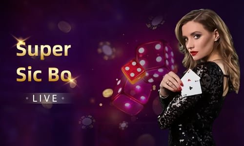 bj888 login